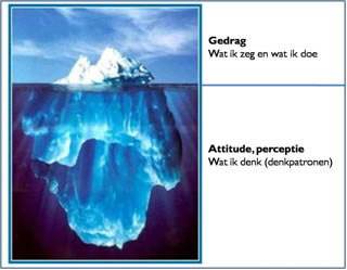 The iceberg of behaviour